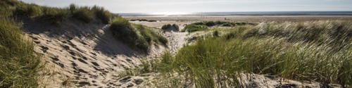 ainsdale nature reserve