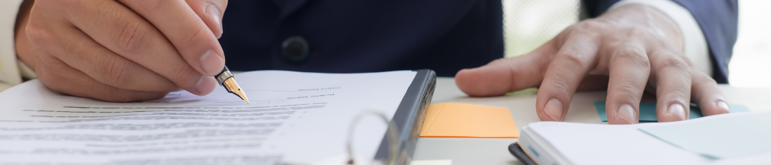 Policies, Strategies and Professionals