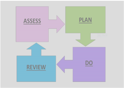 Assess plan review do